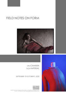 Field Notes on Form