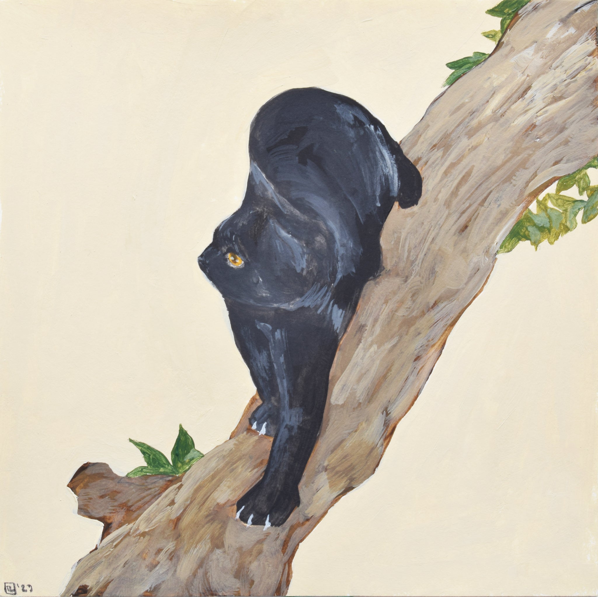 Black Cat Variations #4